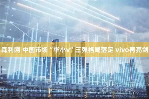 森利网 中国市场“华小v”三强格局落定 vivo再亮剑