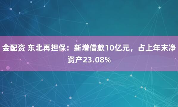 金配资 东北再担保：新增借款10亿元，占上年末净资产23.08%