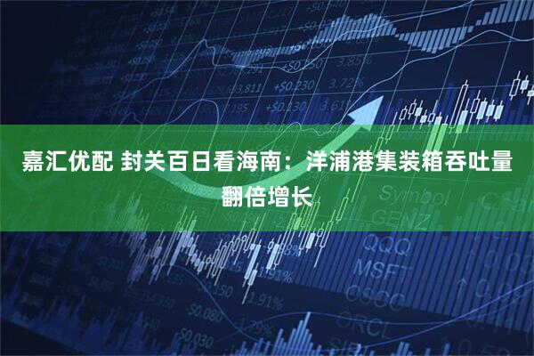 嘉汇优配 封关百日看海南：洋浦港集装箱吞吐量翻倍增长